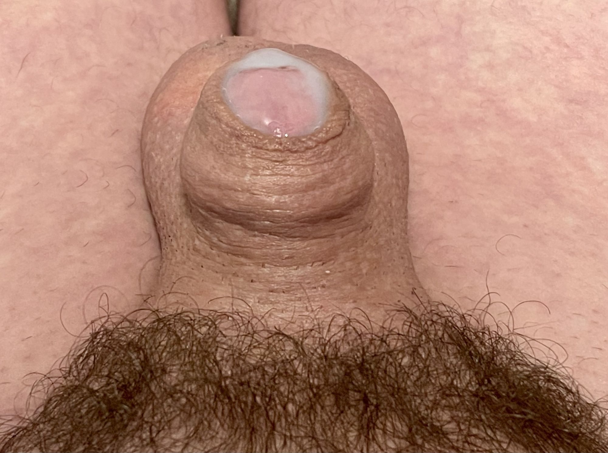 Micro Dick Porn